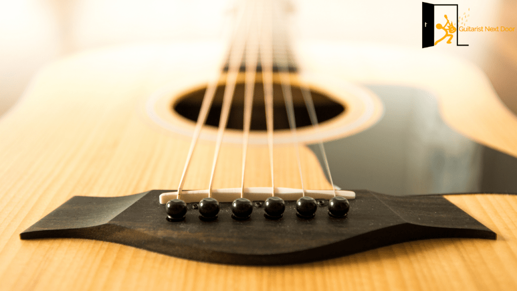 displays a body of Taylor acoustic guitar