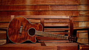 Read more about the article How to Take Care of Your Acoustic Guitar – 8 Essential Tips