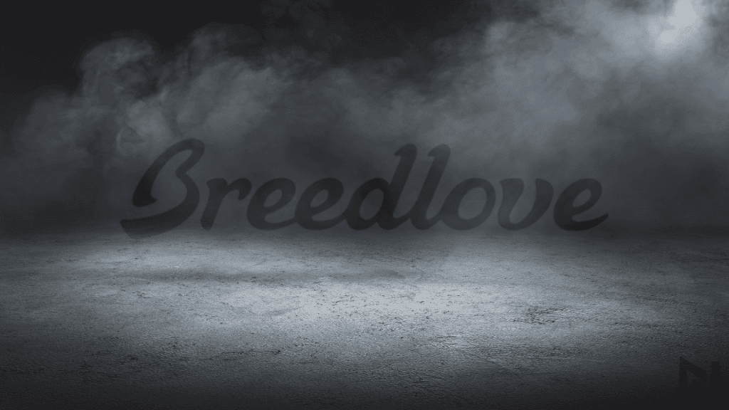 displays Breedlove Guitars logo